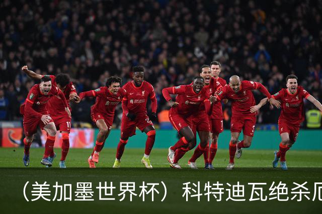 （美加墨世界杯）科特迪瓦绝杀厄瓜多尔 瑞典5:1大胜突尼斯